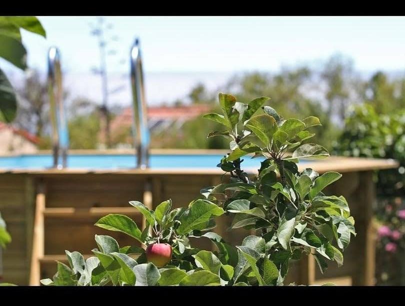 Villa Casa Rosales With Pool & Wifi Puntagorda Exterior foto